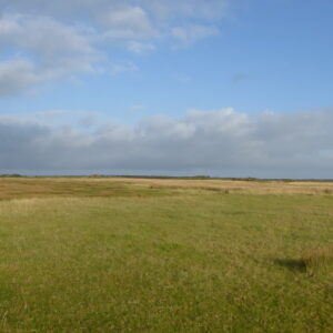 七天强化在线NLP课程